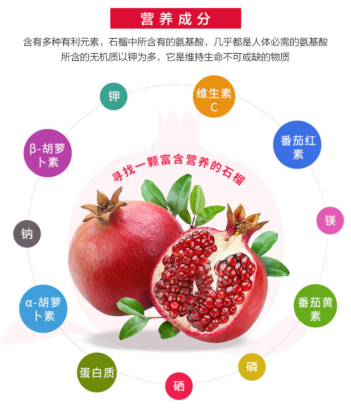 辰颐物语突尼斯软籽石榴