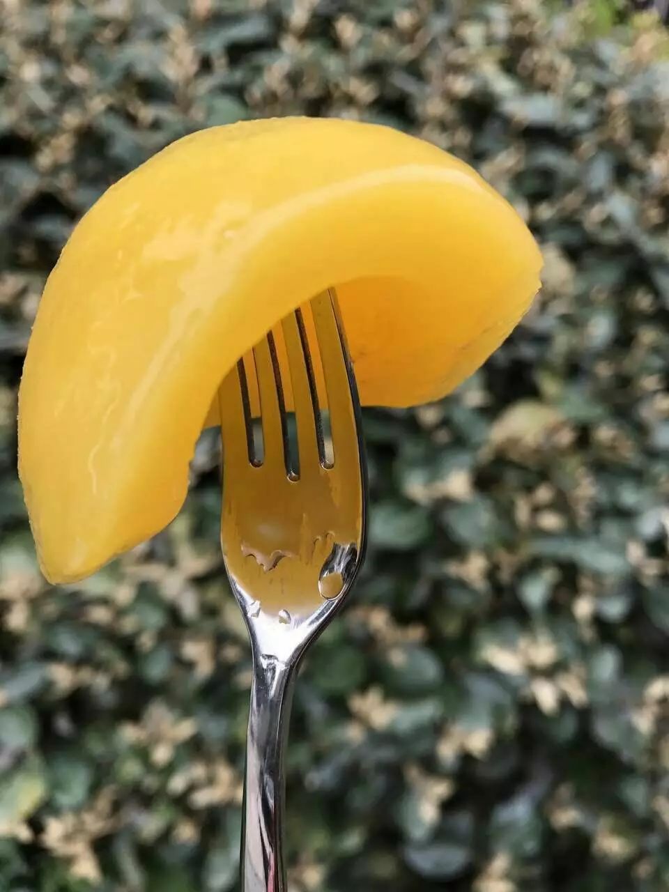 辰颐物语黄桃罐头