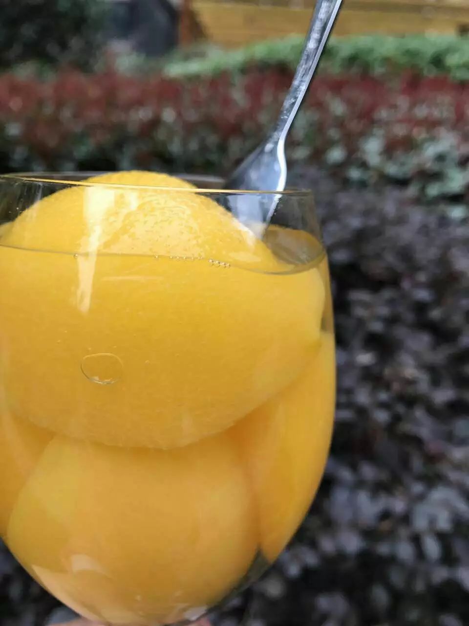 辰颐物语黄桃罐头