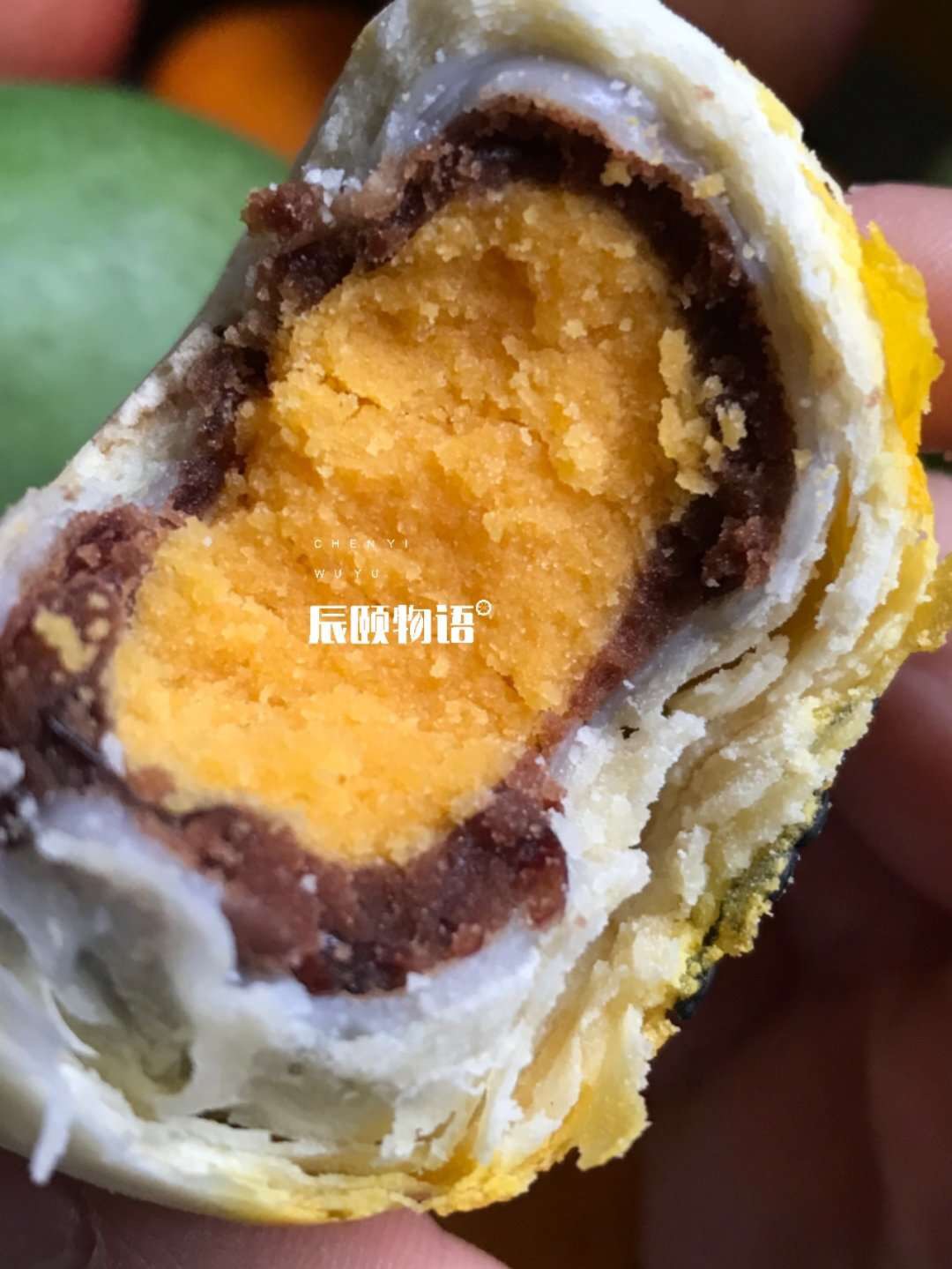 辰颐物语海鸭蛋黄酥