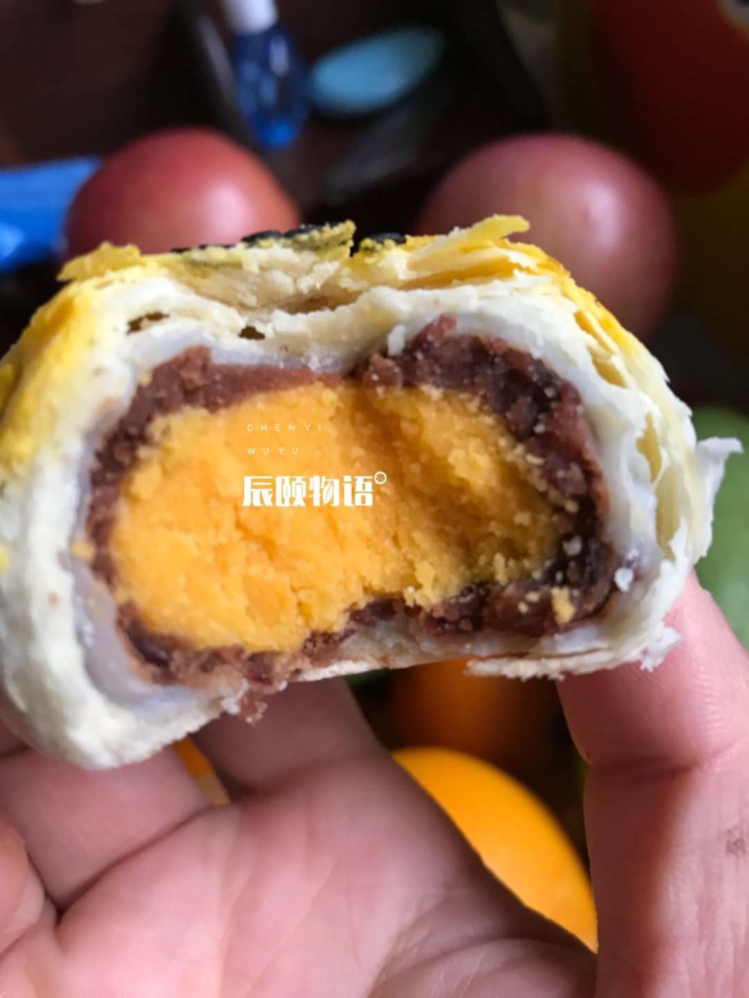辰颐物语海鸭蛋黄酥
