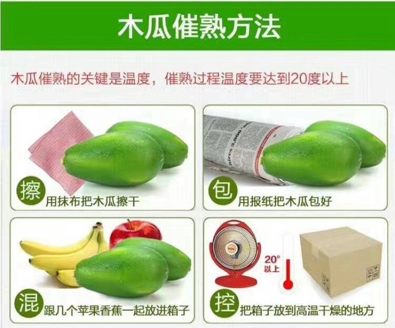 木瓜催熟方法