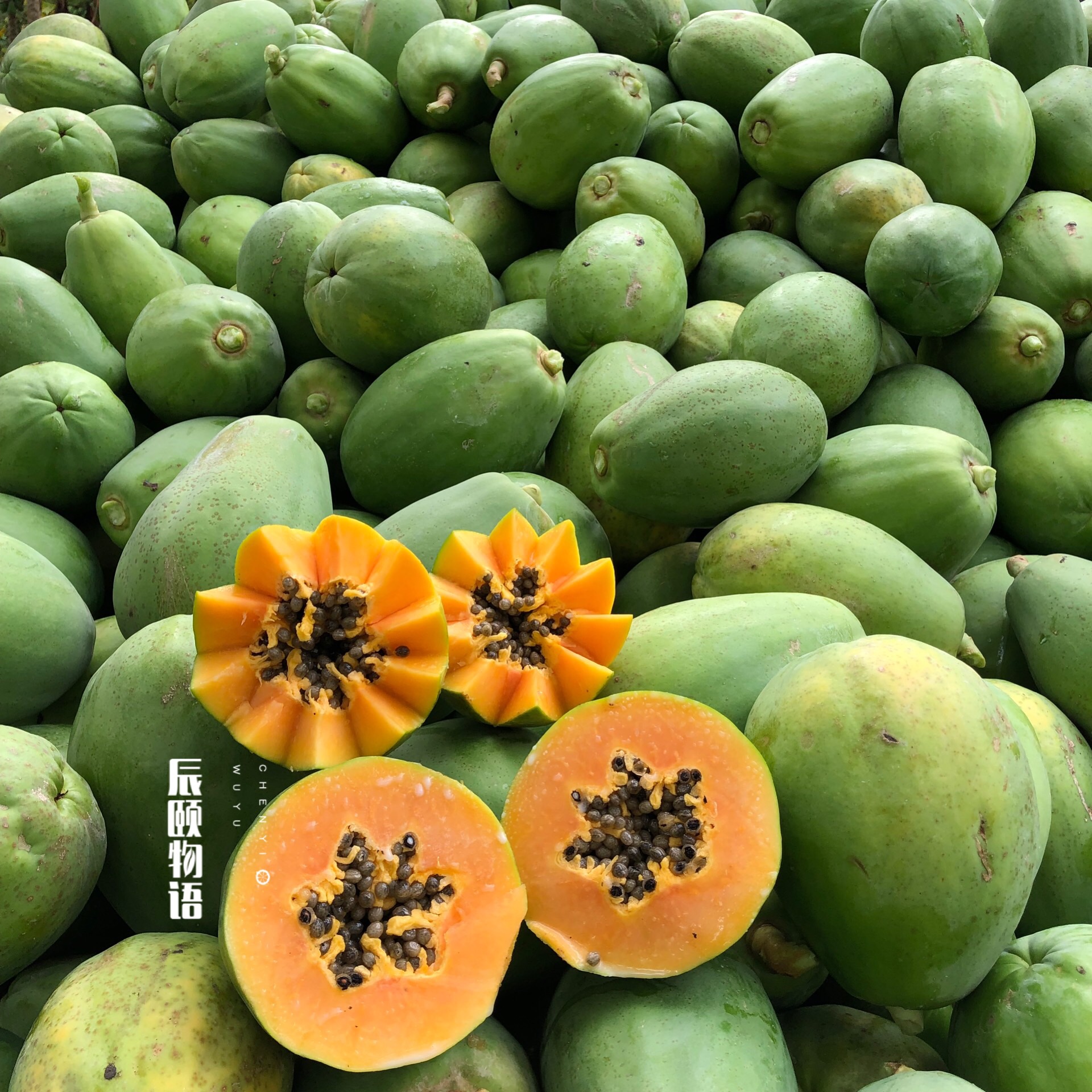 雷州冰糖心木瓜