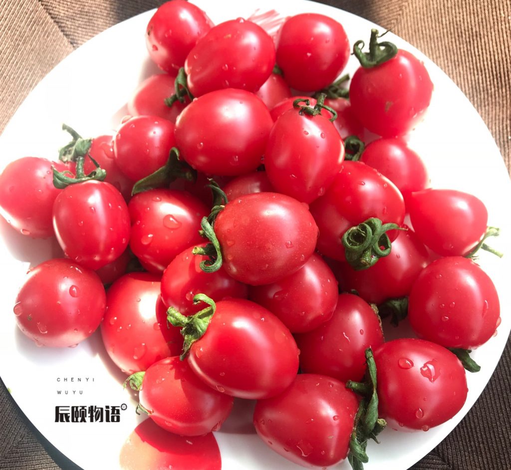 千禧小番茄